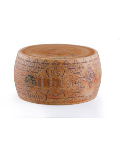 Grana Padano + 15 meses Rueda