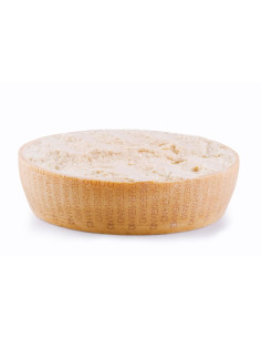 Grana Padano + 9 meses 1/2...